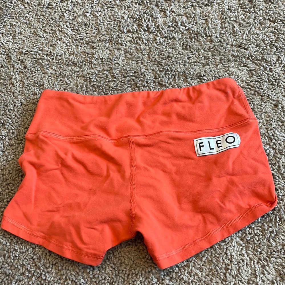 FLEO xs